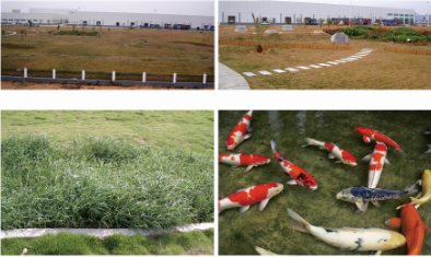 三圈地池详情页.png